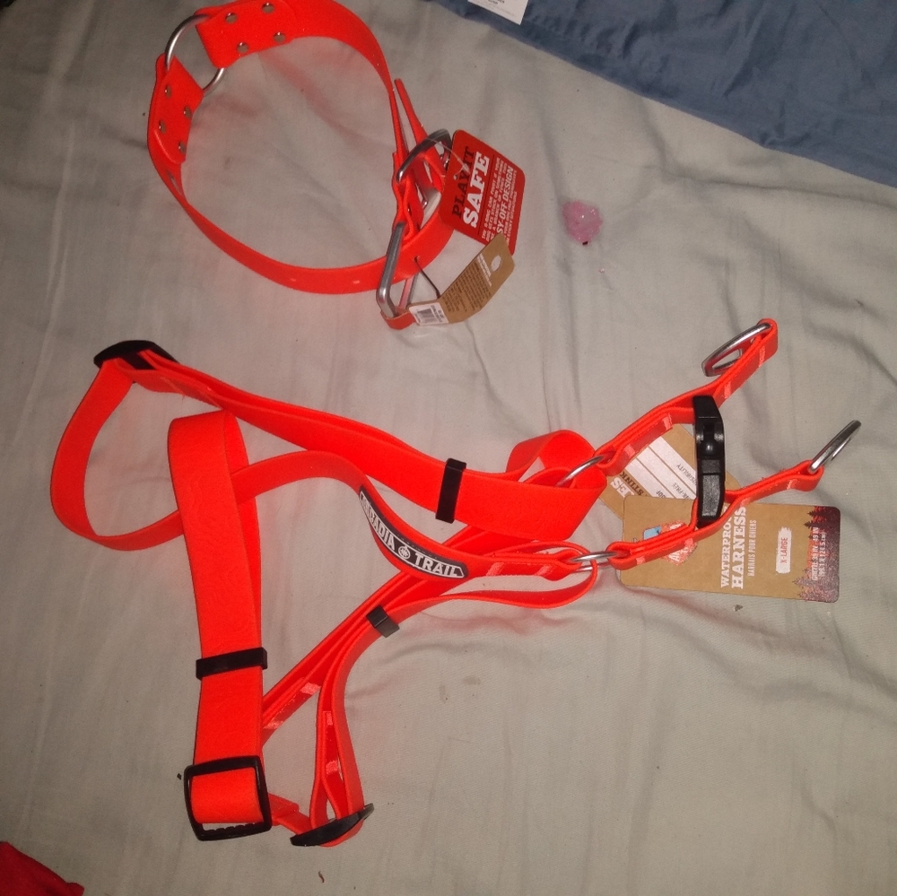 Collar and Harness
